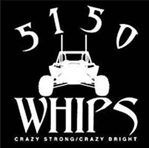 LED Whip Lights &amp; Safety Flags by 5150
