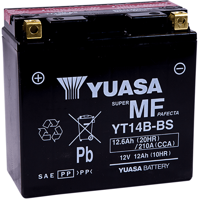 Agm Maintenance-Free Battery By Yuasa