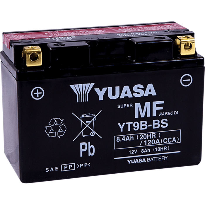 Agm Maintenance-Free Battery By Yuasa