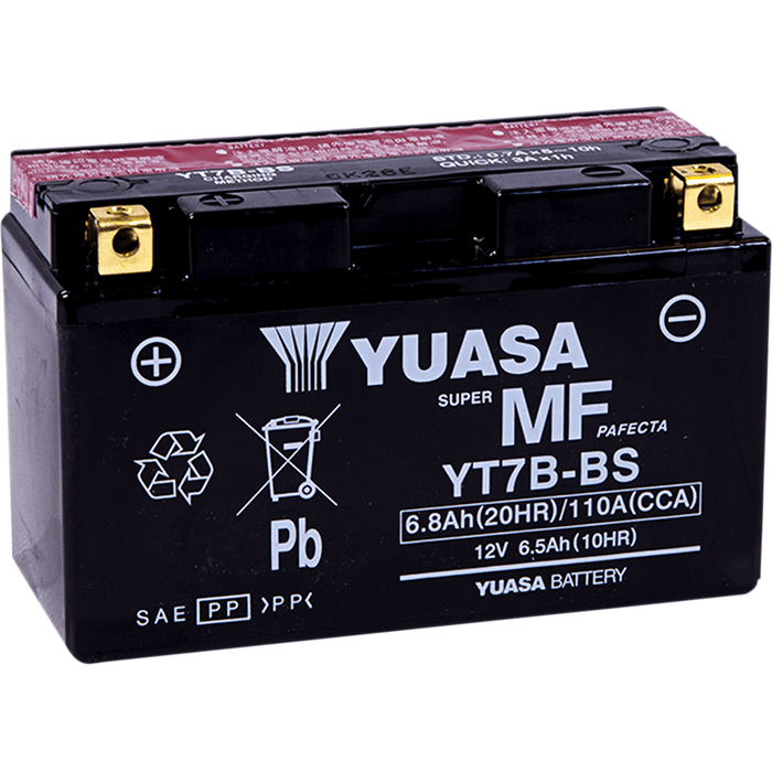 Agm Maintenance-Free Battery By Yuasa