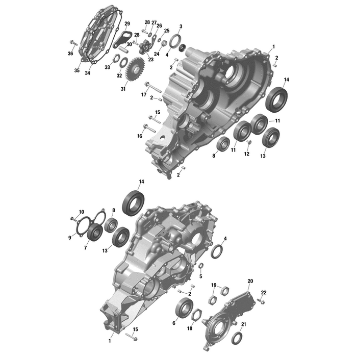 Ball Bearing 6205 by Can-Am