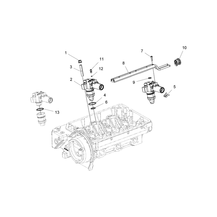 Bleeding Valve by Polaris