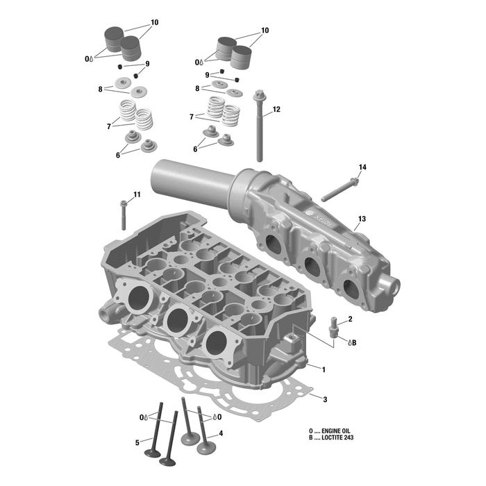 Cylinder Head Assy by Can-Am