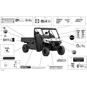 Dashboard Decal by Can-Am 704908006 OEM Hardware 704908006 Off Road Express Peach St