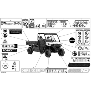 Dashboard Decal by Can-Am 704908894 OEM Hardware 704908894 Off Road Express Peach St