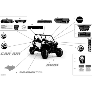 Decal "Can-Am" by Can-Am 704907969 OEM Hardware 704907969 Off Road Express