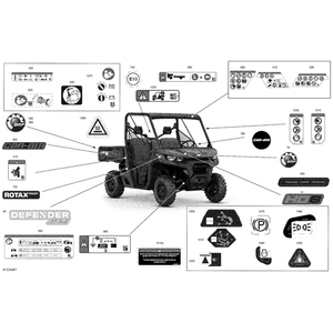 Decal "Can-Am" by Can-Am 704908736 OEM Hardware 704908736 Off Road Express Peach St