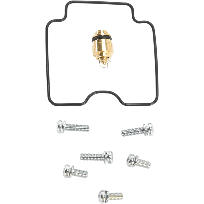 Economy Carburetor Repair Kit By K&L Supply