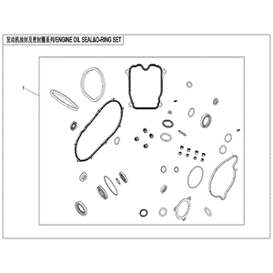 Engine Oil Seal And O-Ring by CF Moto 0JWA-0000A1 OEM Hardware 0JWA-0000A1 Northstar Polaris