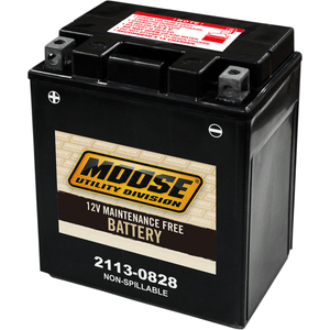 Factory-Activated Agm Maintenance-Free Battery By Moose Utility CTX14AH (FA) AGM Battery 2113-0828 Parts Unlimited