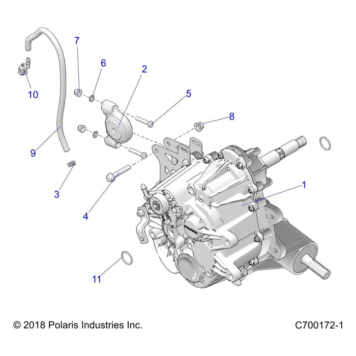 Fuel Line-50 Centimeters by Polaris