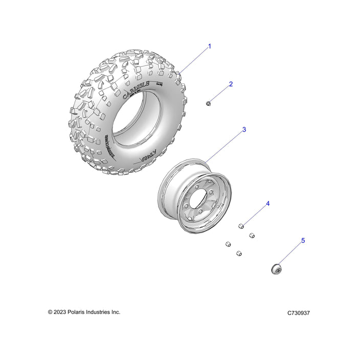 M12 X 1.5 Lug Nut by Polaris