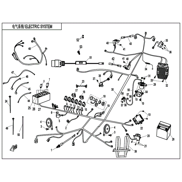 Main Wire Harness by CF Moto