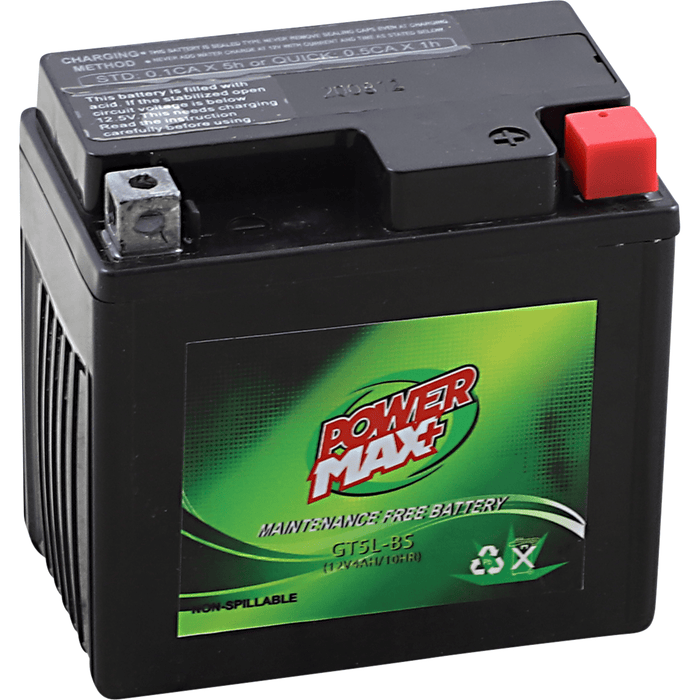 Maintenance-Free Battery By Power Max