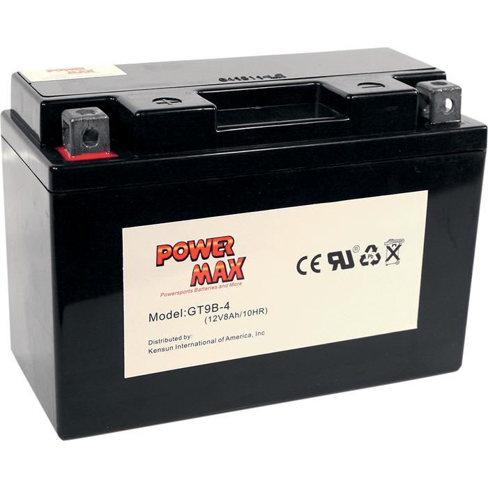 Maintenance-Free Battery By Power Max