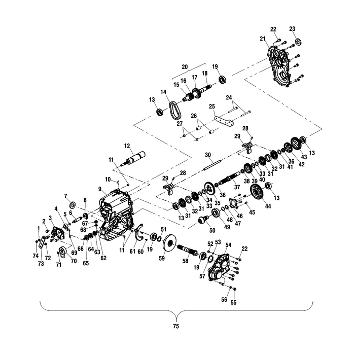 Sprocket, 24 Tooth, 6 Face by Polaris