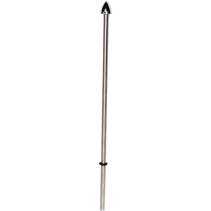 Stainless Steel Flag Pole By Pro Pad