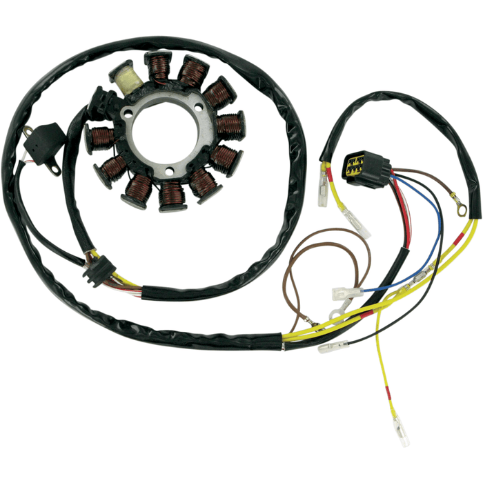 Stator For Polaris By Rick's Motorsport Electric