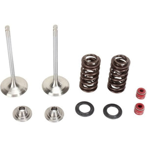 Valve Kit Ex Yz450F by Moose Utility M80-80960 Intake & Exhaust Valve Kit 09262460 Parts Unlimited Drop Ship