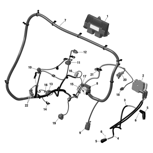 Wiring Harness by Can-Am